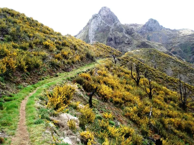 Col d'Encumeada et Caminho Real