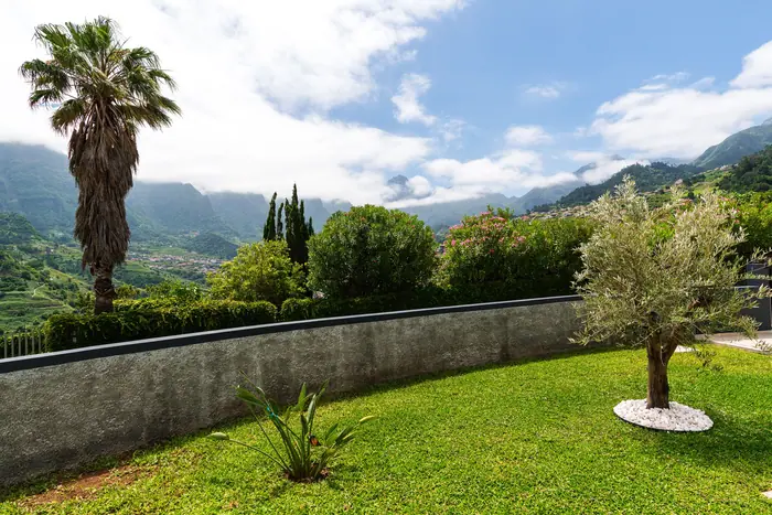 Jardim com oliveira e vista sobre o vale