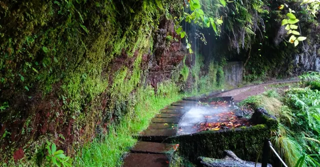Levada do Rei