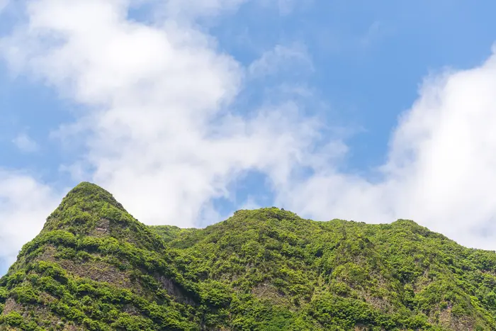 Pico verde da serra sobre São Vicente